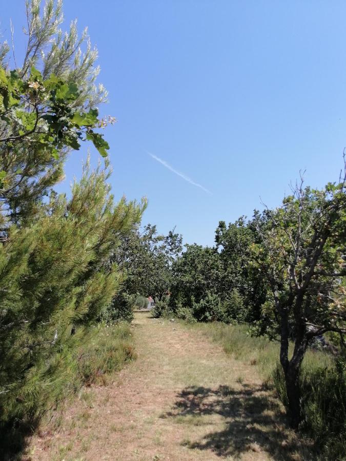 Holiday House Tunjarice Obrovac Bagian luar foto
