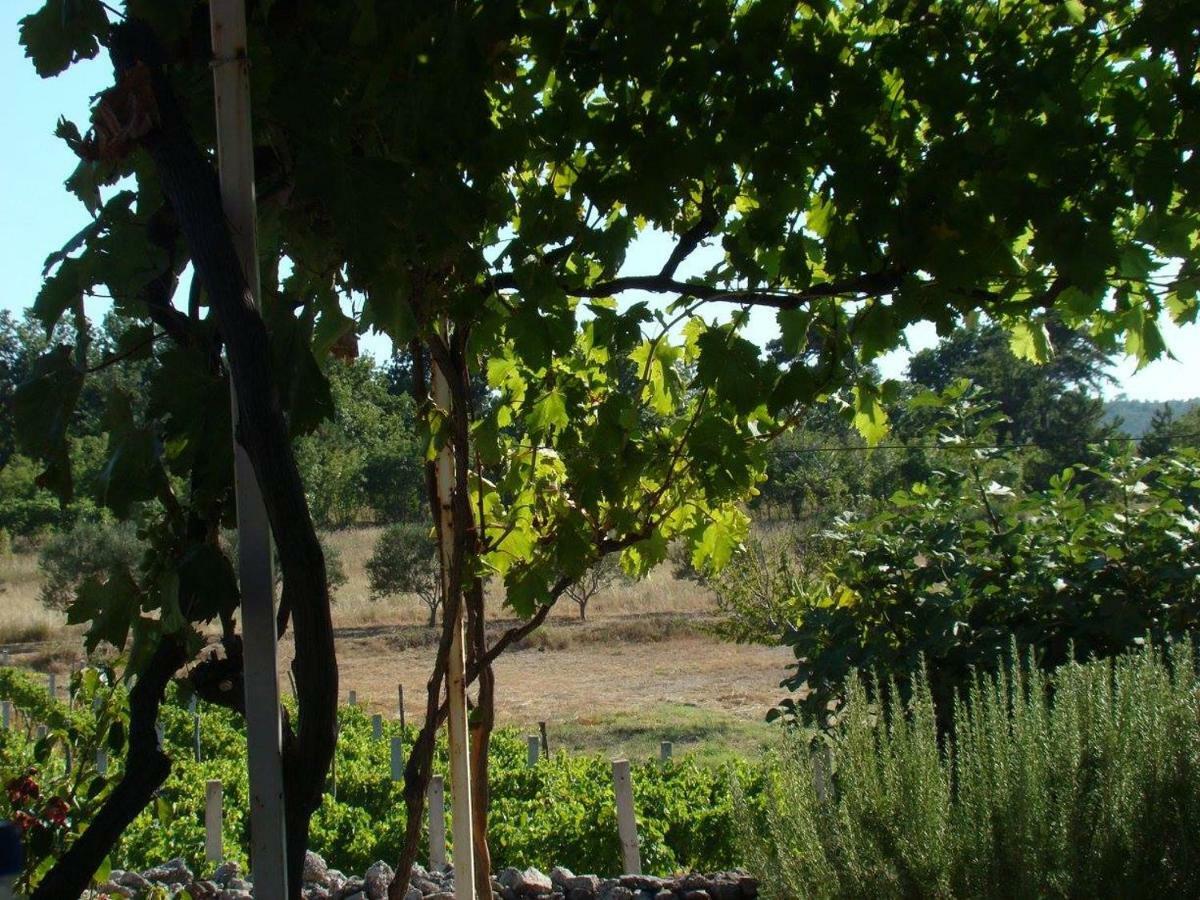 Holiday House Tunjarice Obrovac Bagian luar foto