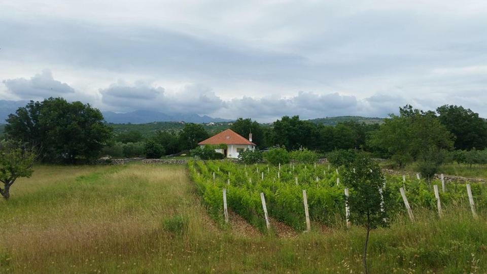 Holiday House Tunjarice Obrovac Bagian luar foto