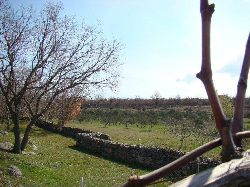 Holiday House Tunjarice Obrovac Bagian luar foto